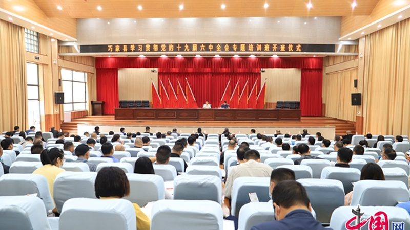 叉车证复审，换证还是续证？揭秘流程与注意事项